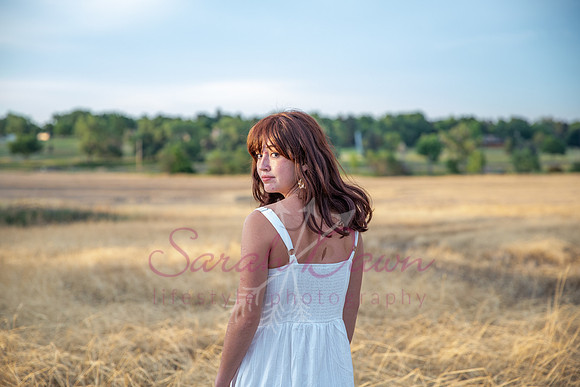 _MG_3604